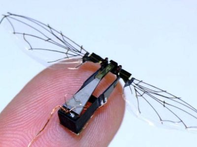 Le RoboBee, un drone miniature pouvant assurer la pollinisation des plantes
