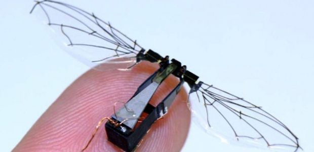 Le RoboBee, un drone miniature pouvant assurer la pollinisation des plantes